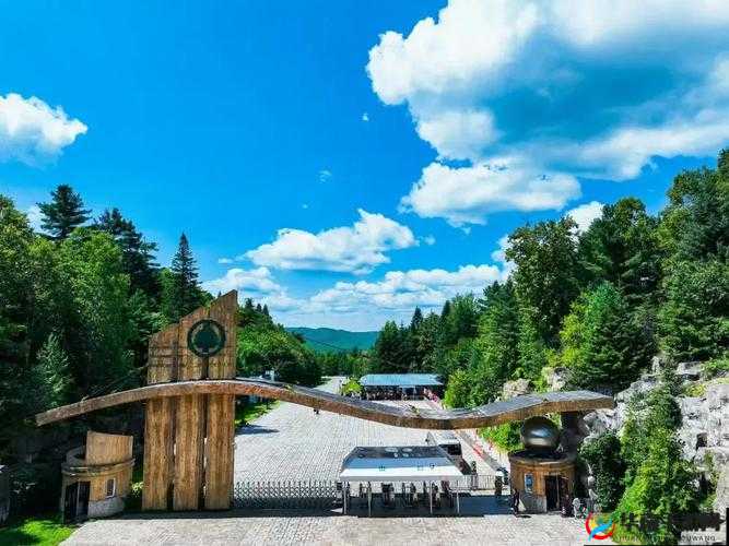 伊春园 2024 直达进入：开启全新梦想之旅的便捷通道