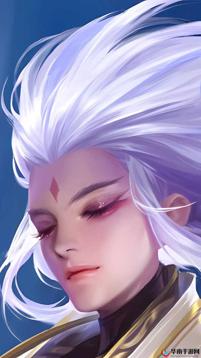 王者荣耀云中君皮肤作品管理与价值最大化