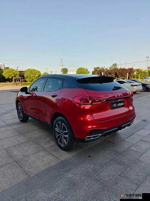 weyvv5 国产 SUV 免费畅享福利来袭