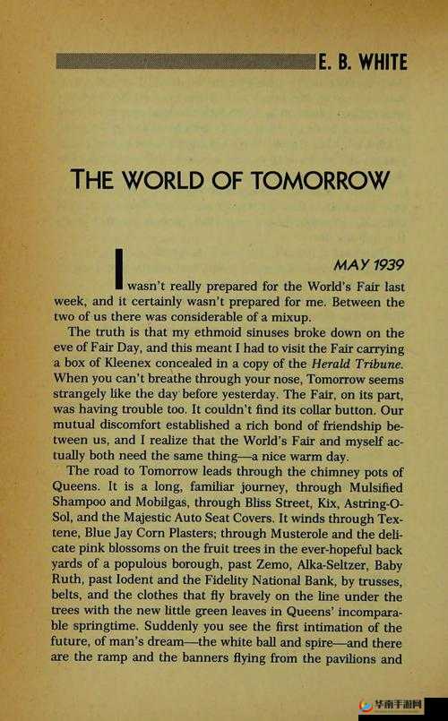 美国 waswas：文化冲突与融合的探索之路