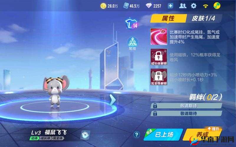 福鼠飞飞,QQ飞车手游中的励志宠物