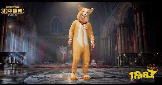 和平精英套装-萌神柯基,二月惊喜上线!