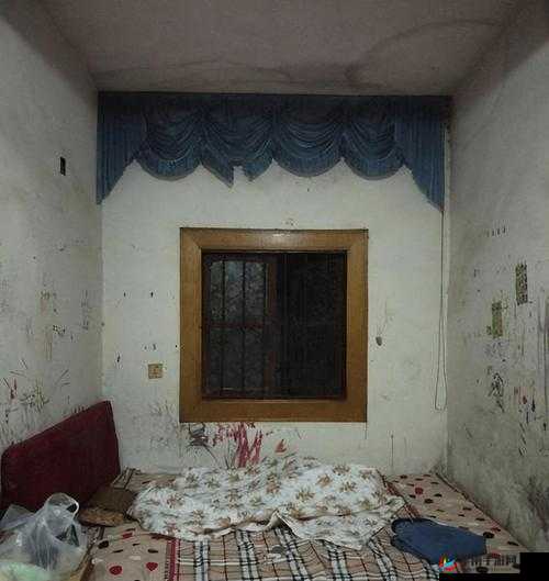 出租房里交互高引发的别样生活体验