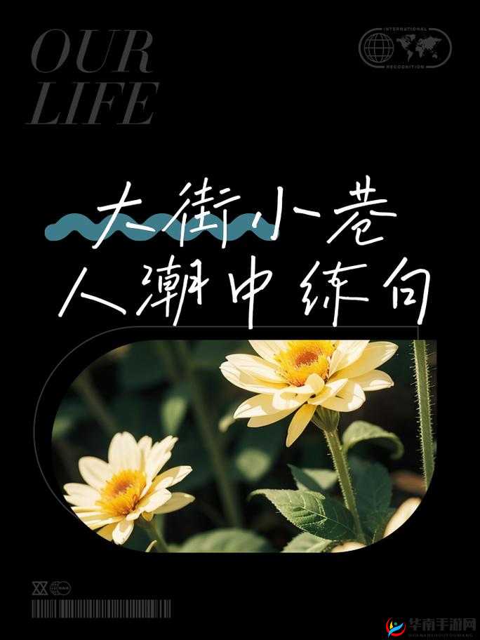 都市激情五月：探索繁华都市中热情似火的五月时光