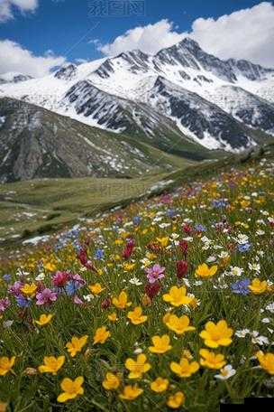 野花在线观看免费观看高清中文，畅享精彩大片无束缚