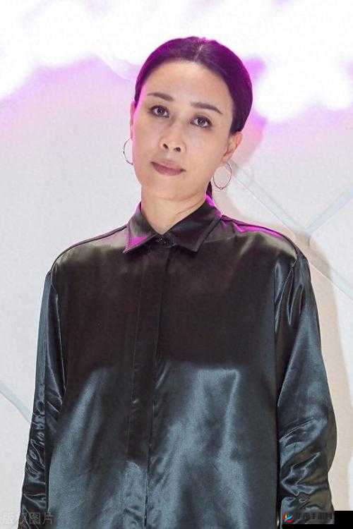 那英 BB 是什么样子的：探寻其独特魅力与风格