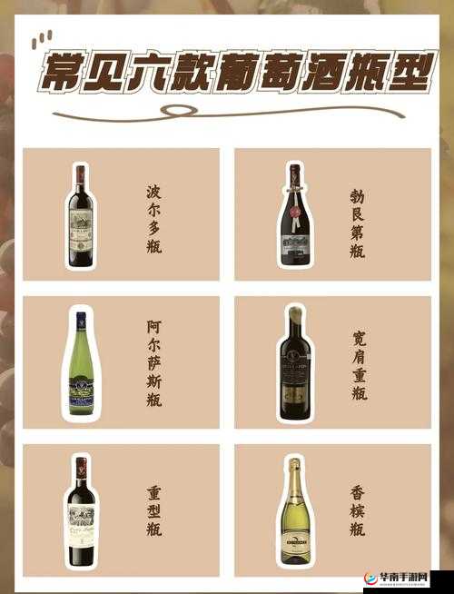 红酒瓶进出口述:探寻红酒瓶在国际间的流通奥秘