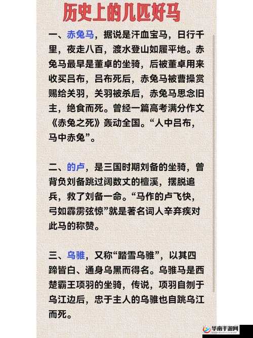 的卢是谁的坐骑？在资源管理中的重要性及高效利用策略