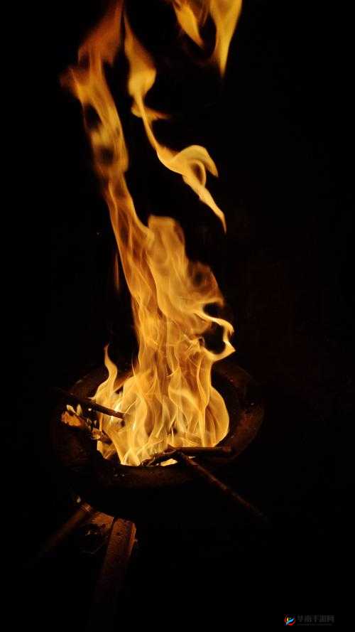 在爱与温暖的火光中——解读同人漫画中的烤红薯与书页之燃