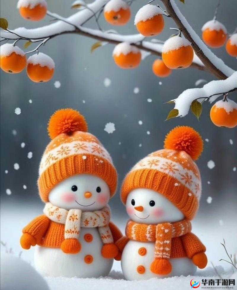 兑换头像框-柿柿如意，揭秘活动道具的奥秘与价值最大化