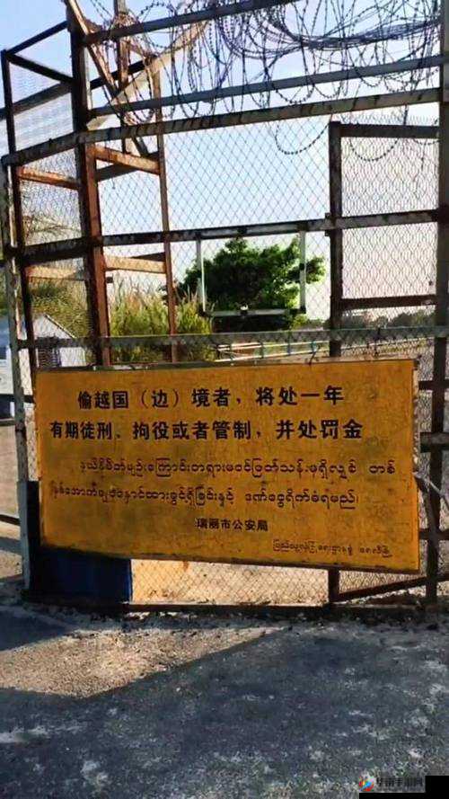 缅北恐怖网站www 缅甸：揭秘缅北恐怖活动的真相