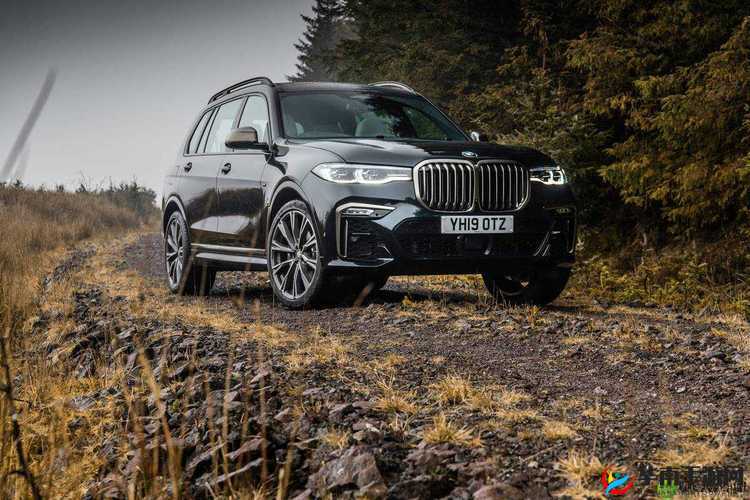 X7X7 暴力噪：震撼心灵的听觉冲击