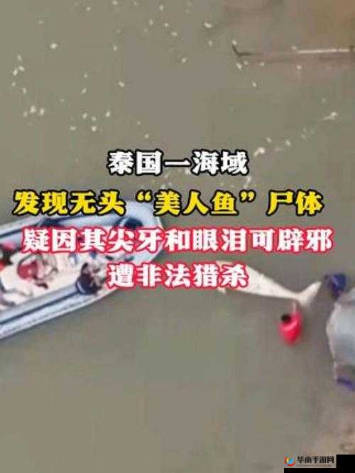 海角 偷腥大神:揭示神秘面纱的真相