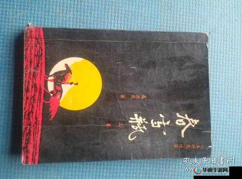 玉娇龙续集春雪瓶txt 免费阅读：精彩后续不容错过