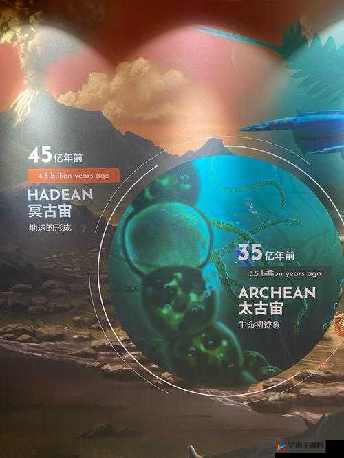 一同看 01win2024:探索未来数字世界的奇妙之旅