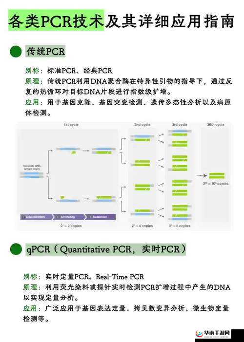 全新半套装基因探索，从概念到应用的深度剖析