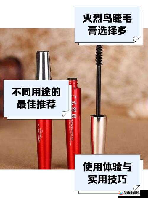 美国伦理眉睫膏 2 产品介绍及使用心得分享