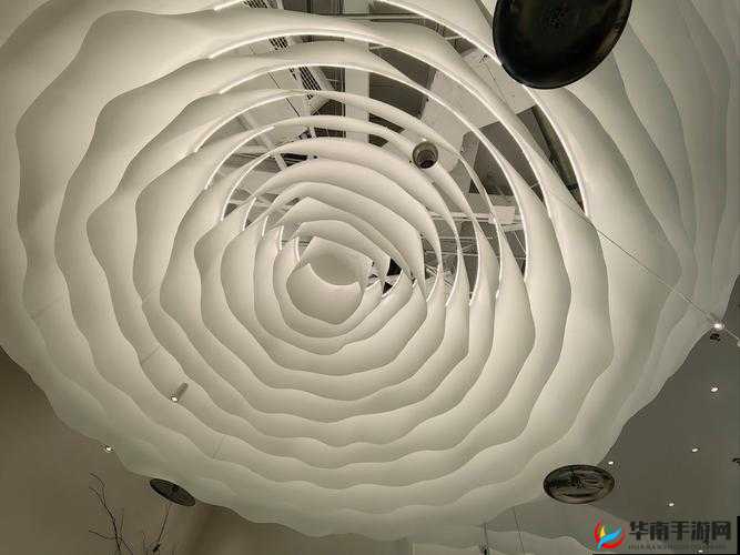 大胆艺术的独特魅力：探索未知的艺术世界