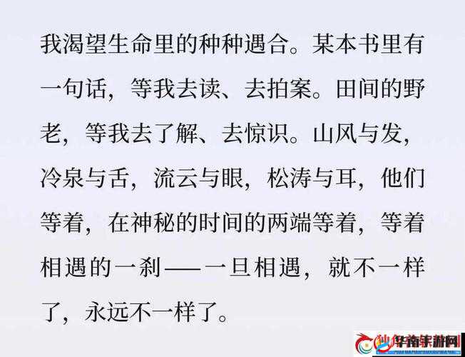 一支笔怎么 C 哭自己:关于它的深度剖析与思考