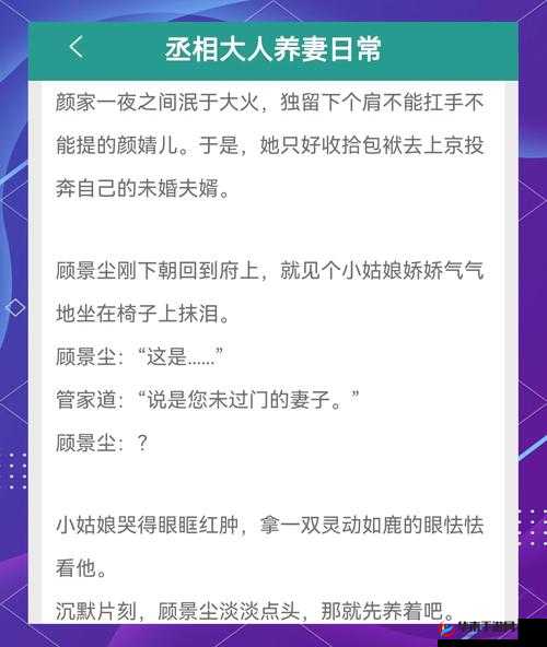 清冷丞相的爆炒日常：朝堂风云与别样生活
