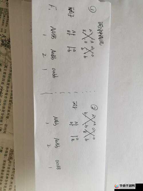 AABB 与 AAAA 的区别：据说这样能找到齐全的视频资源