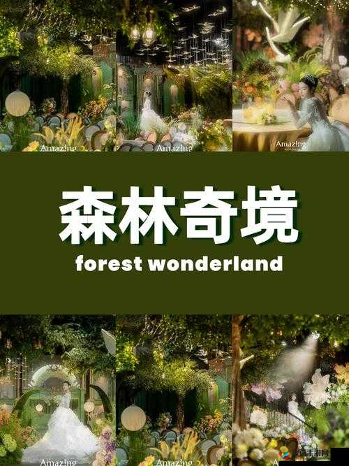 仙踪林一线二线三线：奇幻森林的多层神秘区域探索