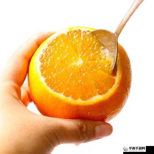 精品无码久久久久久久久果冻糖心：极致美味的独特体验