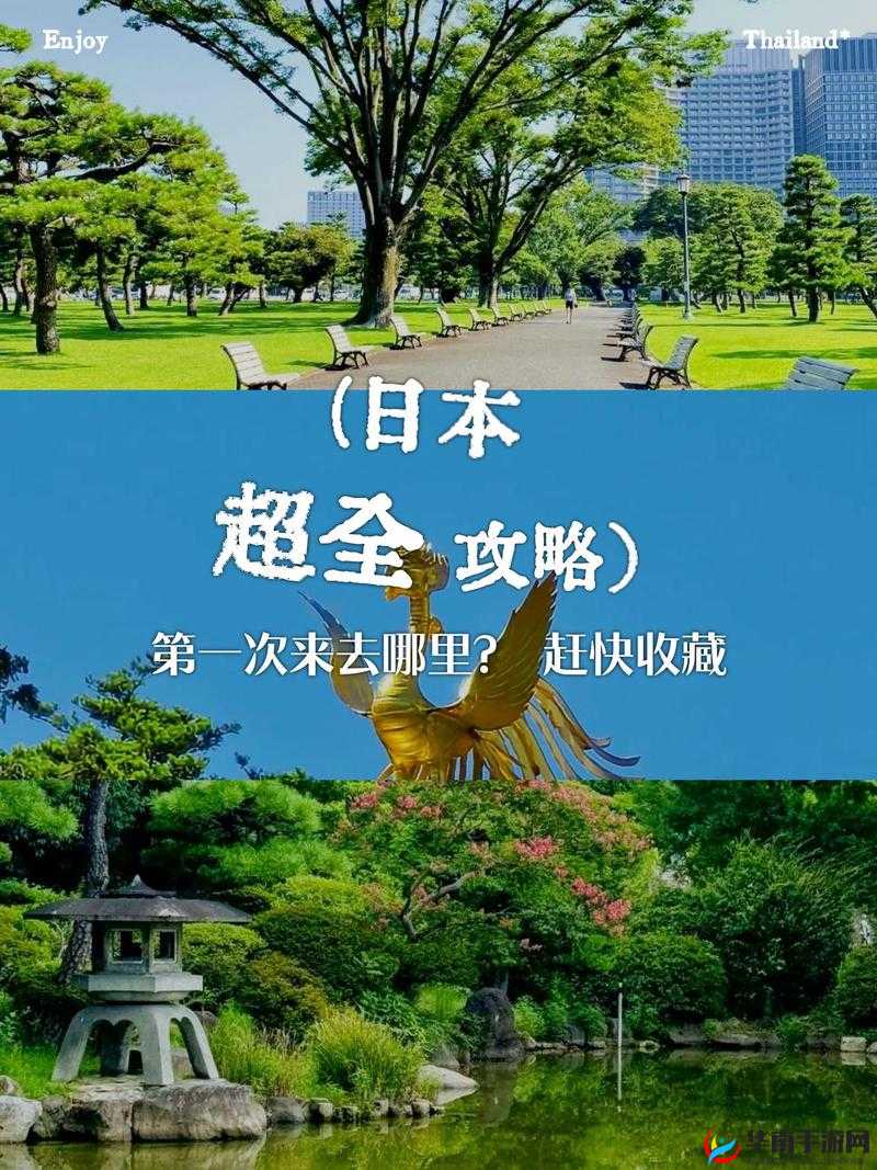 日本无人区 1 码 2 码区别大吗：关于此问题的详细探讨与分析