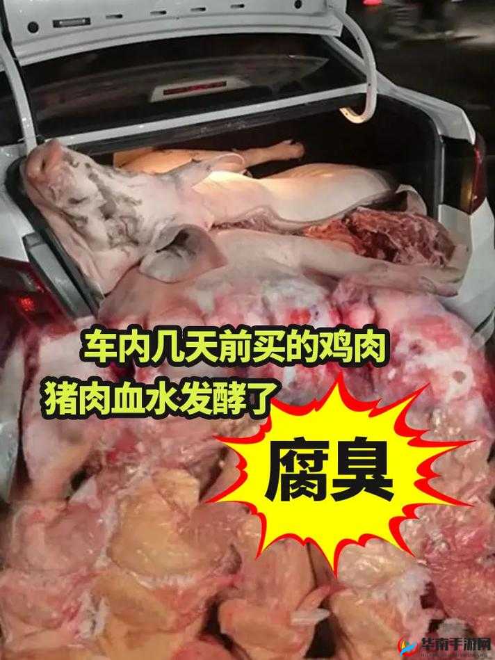轿车内发现大量腐败生肉，来源成谜