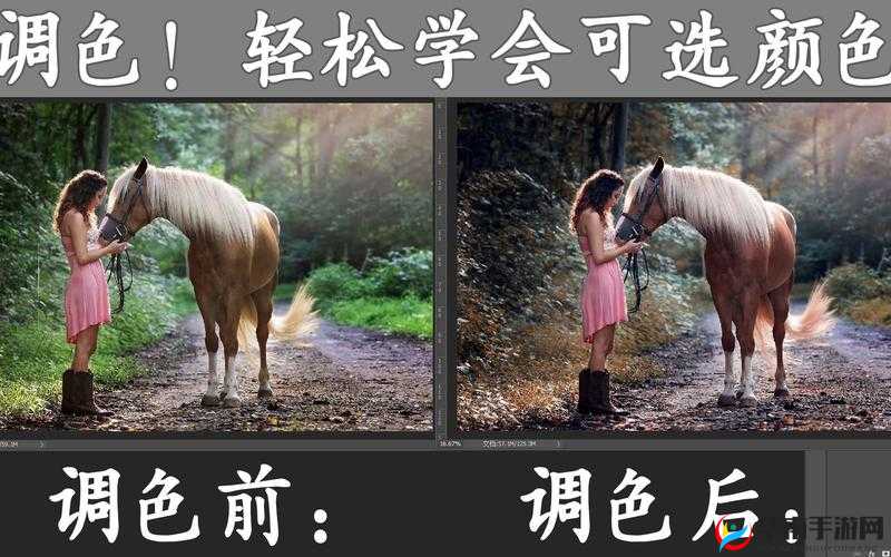 免费PS大片调色视频播放：带你走进色彩的奇幻世界