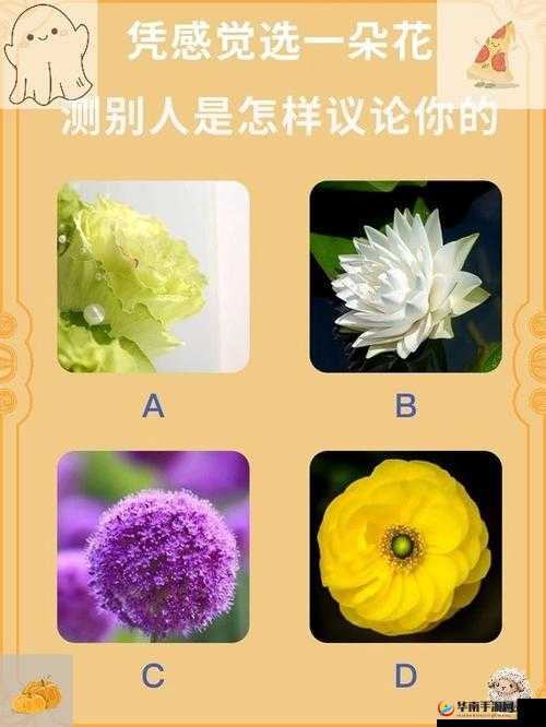 B 与 B 不同：探寻其中隐藏的多样奥秘与独特魅力