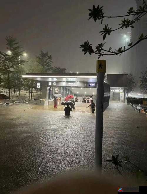 ju162 外勤中突然下大雨:惊险时刻考验团队协作