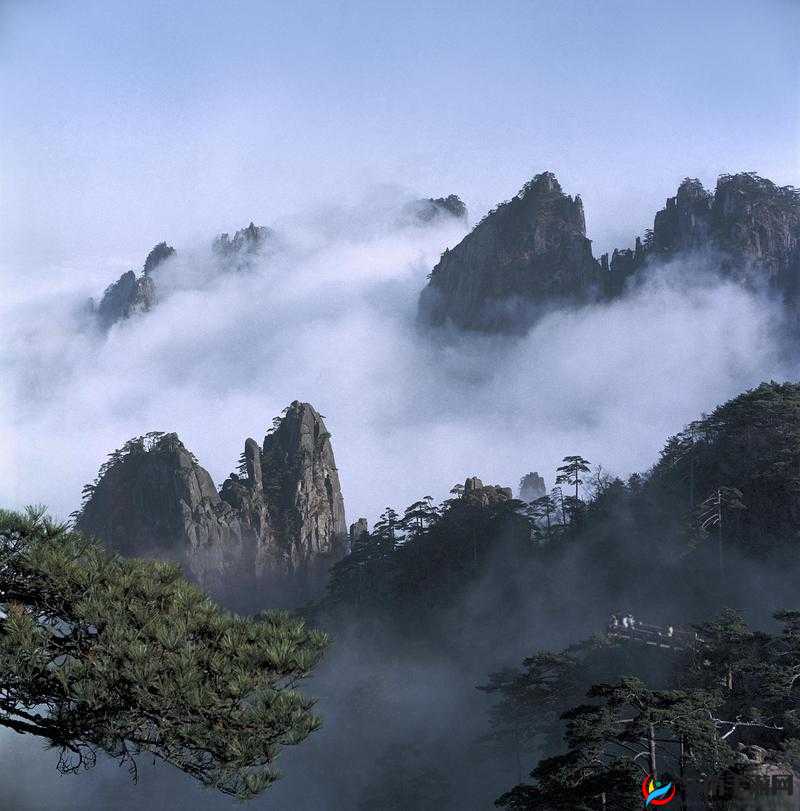 中国一级黄：独特而珍贵的文化瑰宝