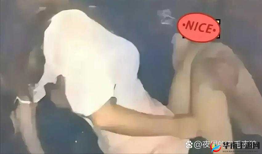 哔哩哔哩情侣进入高峰期现象备受关注