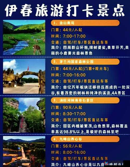 如何进入伊春园 2024 全攻略详细解读