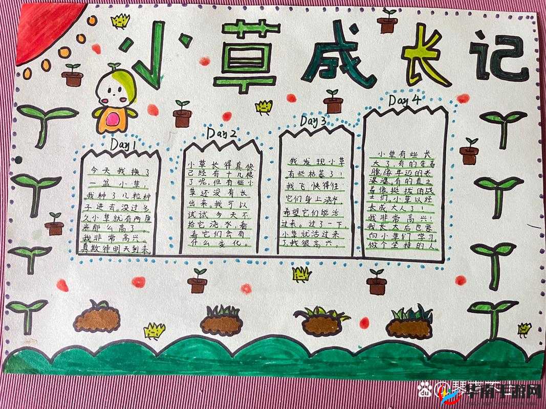 嫩草研究之探究一二三四五六