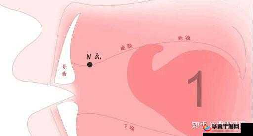 一直伸舌头原声：探寻其背后的意义与可能的影响因素