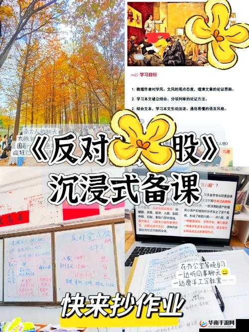 xxxBBBB 相关内容详细解读及深度分析探讨