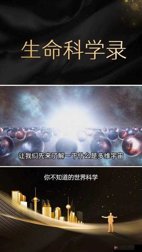 6900 理论：探索宇宙终极奥秘的科学假说