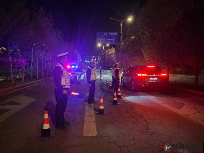 交警用小 XUE 查酒驾 H:守护道路交通安全的重要行动