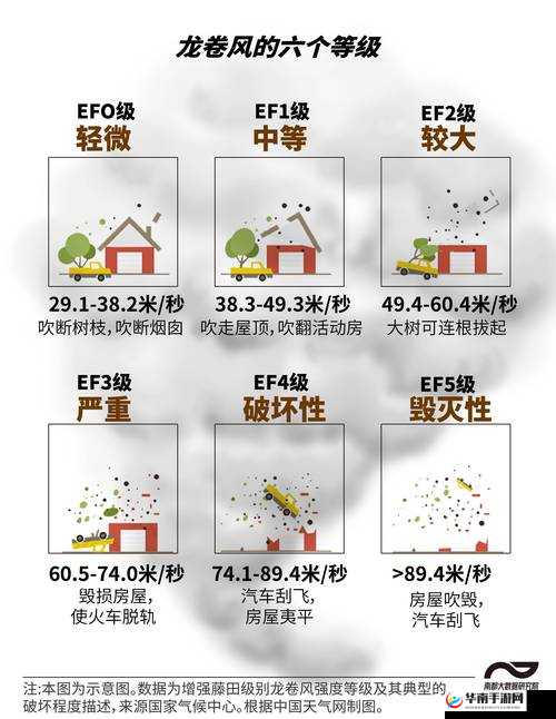 DBsystem龙之气息天气变化攻略,掌握天气变换,优化资源管理