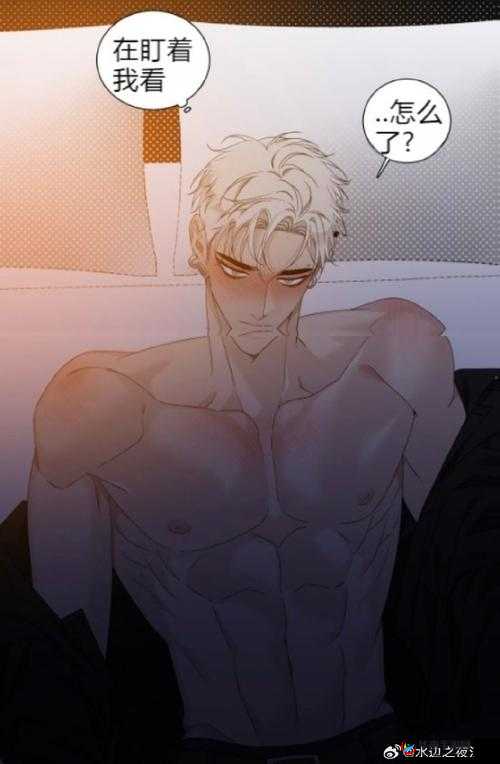 被 C 上瘾：探索欲望的边界