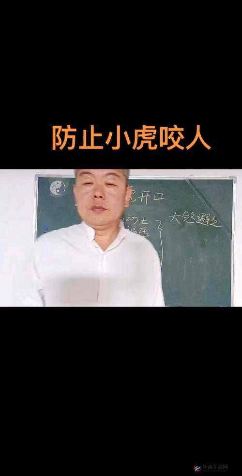 白虎日常生活中喜欢去哪里消遣？在资源管理中的重要性及高效利用策略