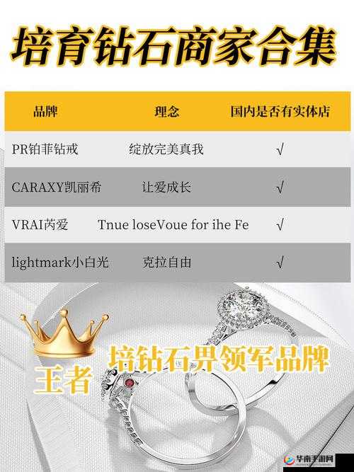 闪耀的关键词，培育钻石套装与现代生活的优雅邂逅