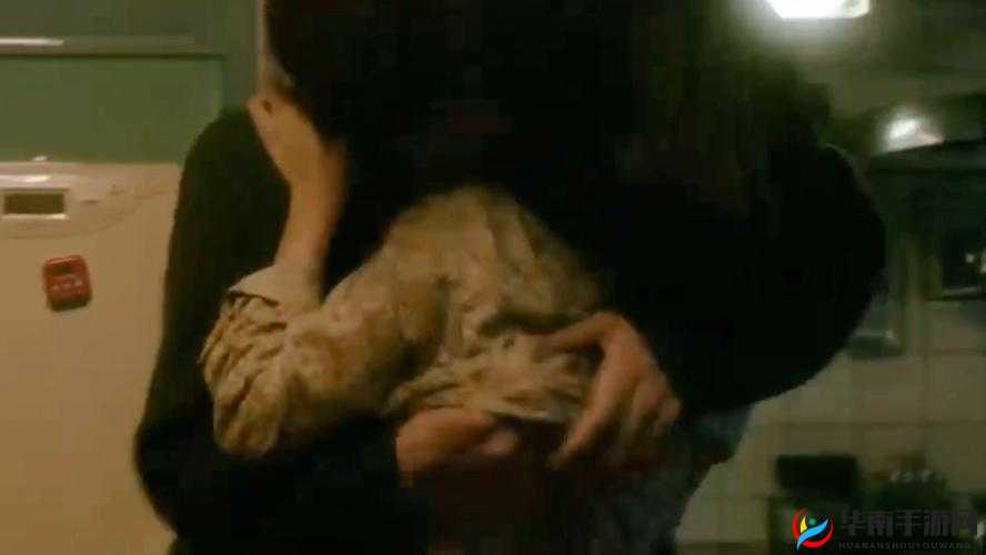 Japanese 厨房乱 tub 偷事件引发的思考与探讨