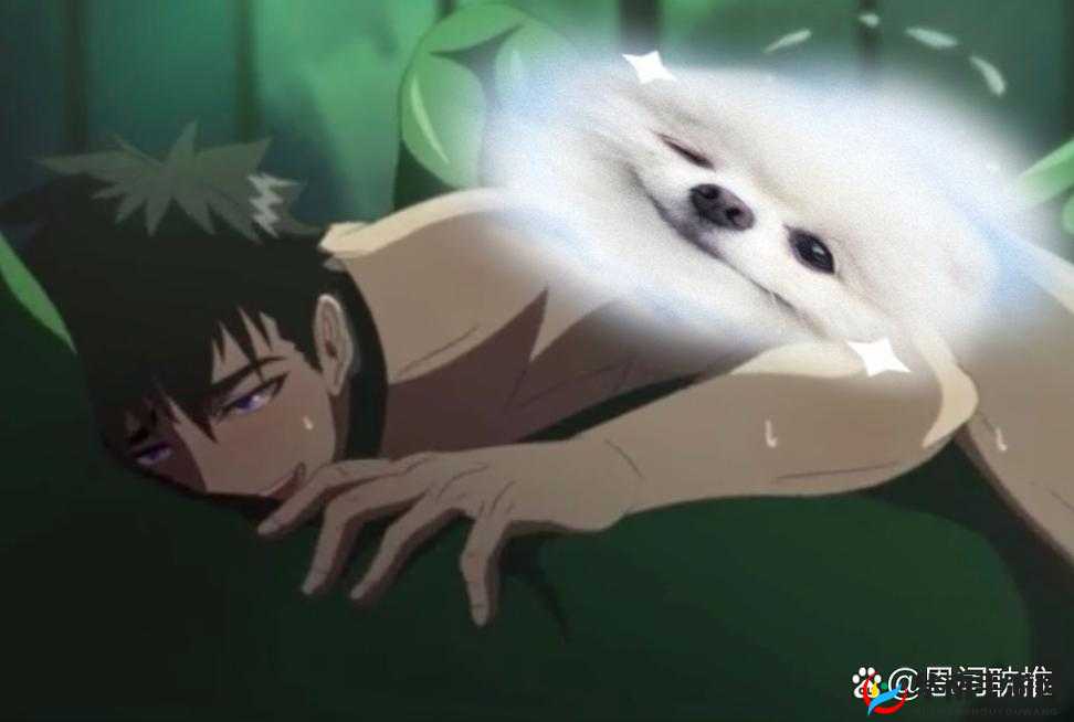 哥布林洞窟动漫 NASA1-2 ：奇幻冒险之旅震撼开启