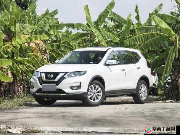 欧产日产国色天香水蜜桃的独特魅力与非凡体验