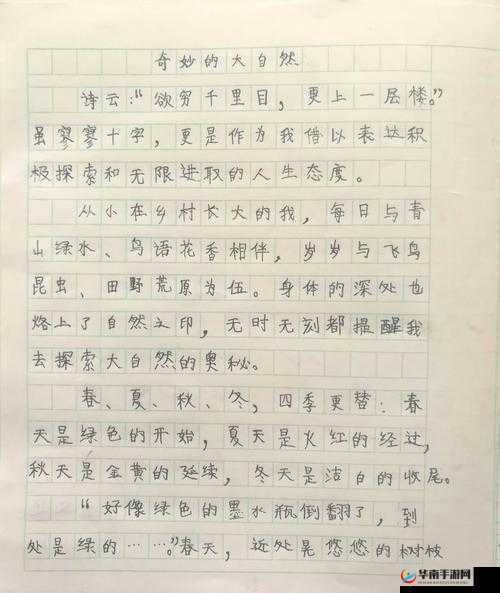 我在野外截取一段视频：记录大自然的奇妙瞬间与独特魅力