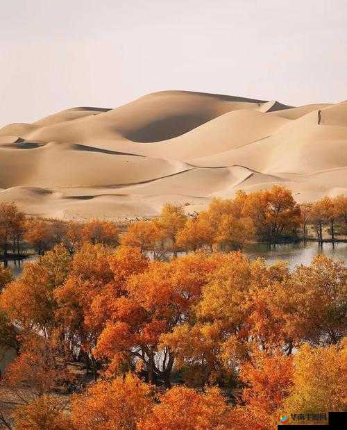 TOBU8HD 高清免费:带来极致视觉体验的精彩内容