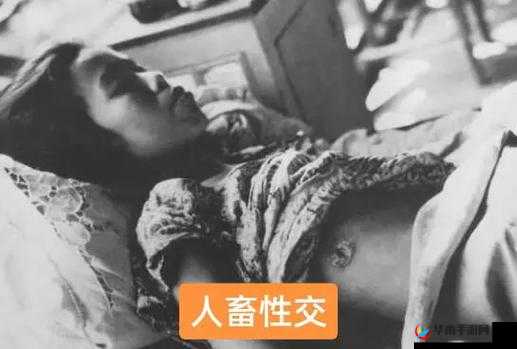 人与禽性动交 XXXXB 女：探索不寻常的行为与现象